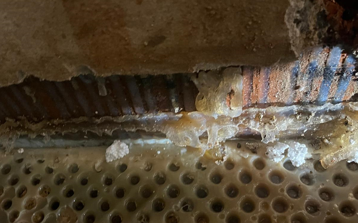 Galerie rubové sanace gelem